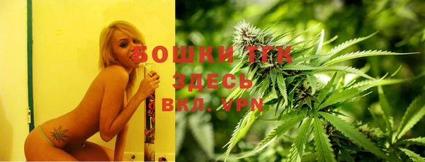 эйфоретик Верхний Тагил