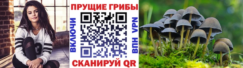Галлюциногенные грибы Cubensis  Чусовой 
